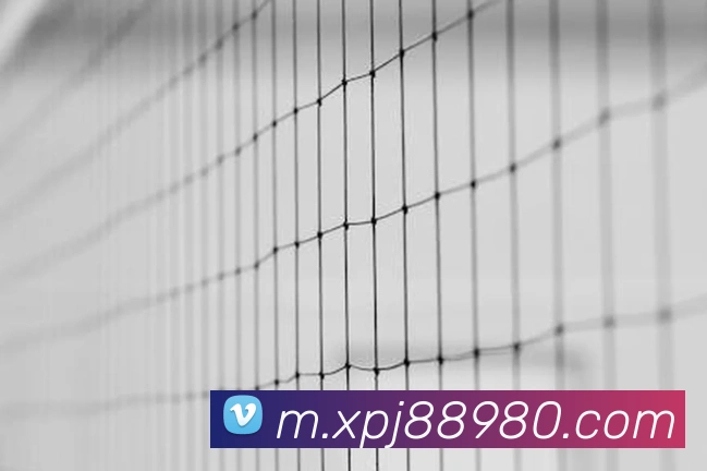 新葡京娱乐服务体系